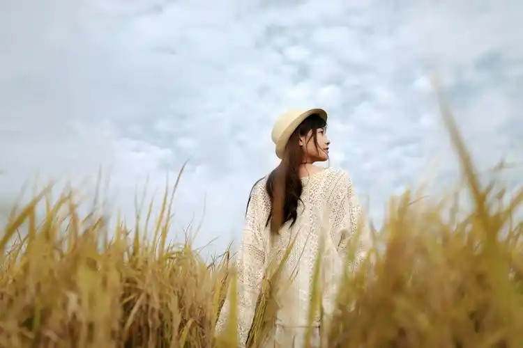 风吹稻浪-唯美女生