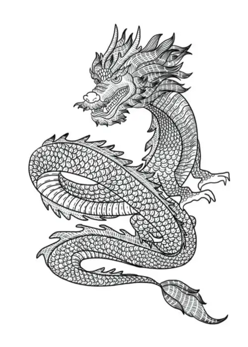 20张传统龙纹手绘稿,学画基本功