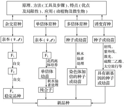 育种方法和流程教学建议:这一节的内容丰富,其中,杂交育种和诱变育种