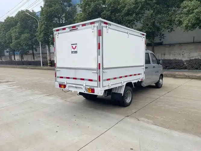 五菱工业 五菱荣光新卡专用车 2023款 2.0l双排加长双后轮翼开启