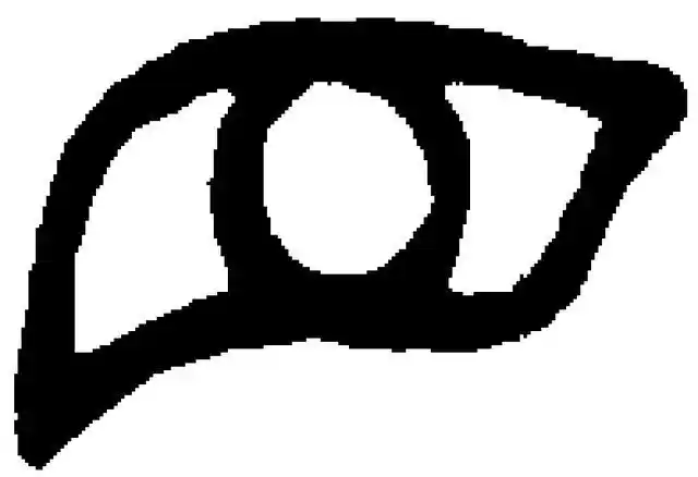 甲骨文中目字的写法