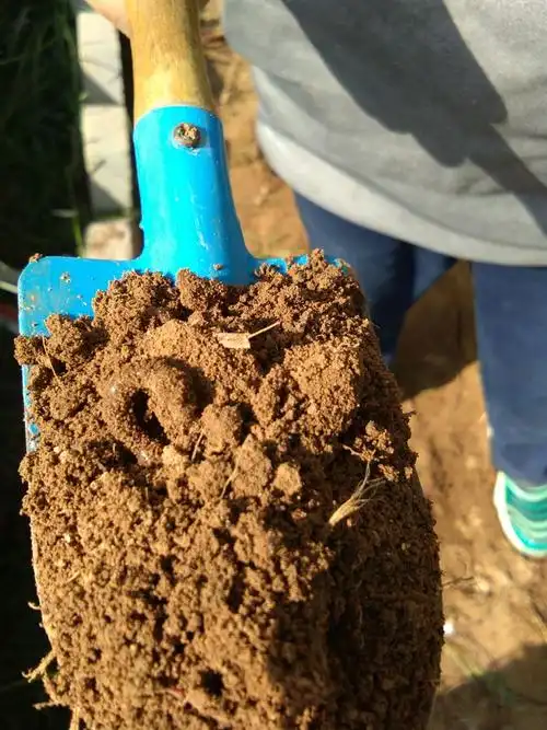 会松土的小蚯蚓