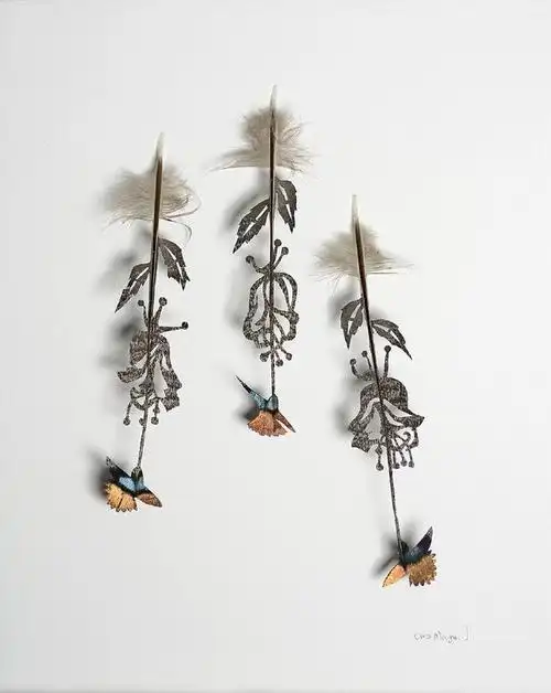 羽毛创意 by chris maynard