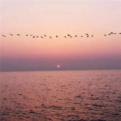 男人好运风景微信头像 以时光为眸