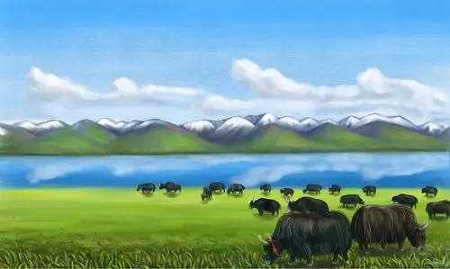 牦牛|插画|商业插画|yongfeng1991 - 原创作品 - 站酷 (zcool)