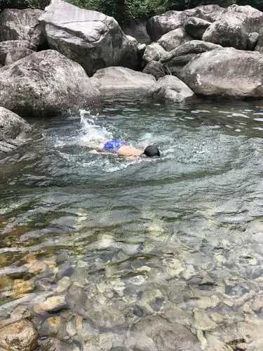 小溪里游泳,好欢快好自在呀!