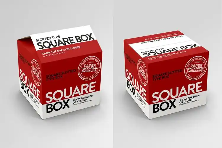 方形开槽纸盒包装设计效果图样机 square slotted-type paper box