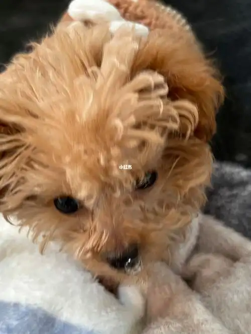 西八不帮我擦掉还拍照