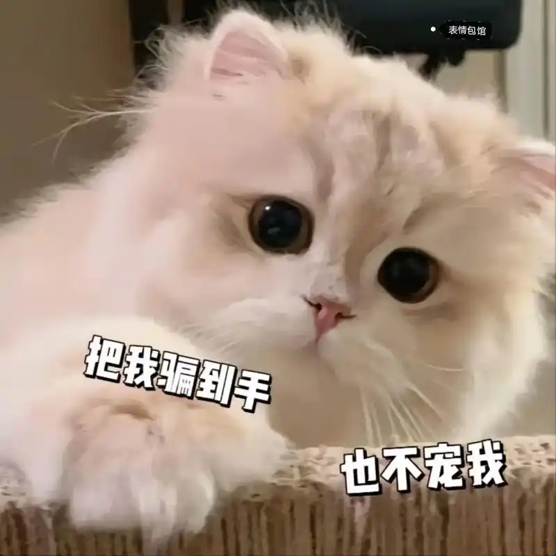 情侣表情包(你果然是个坏男人).抖音搜"闪萌表情"进小程序输 - 抖音