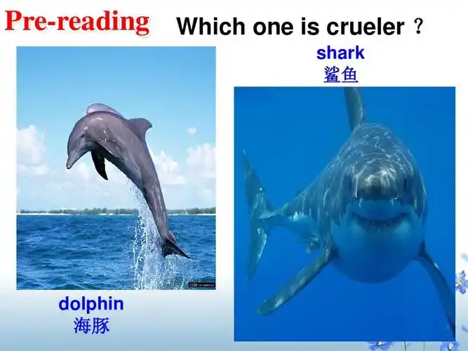选修七unit3_under_the_sea_warming_up_and_reading (1)ppt
