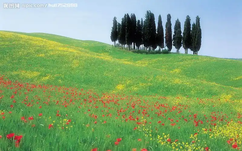 山上花园摄影图__花草_生物世界_摄影图库_昵图网nipic.com