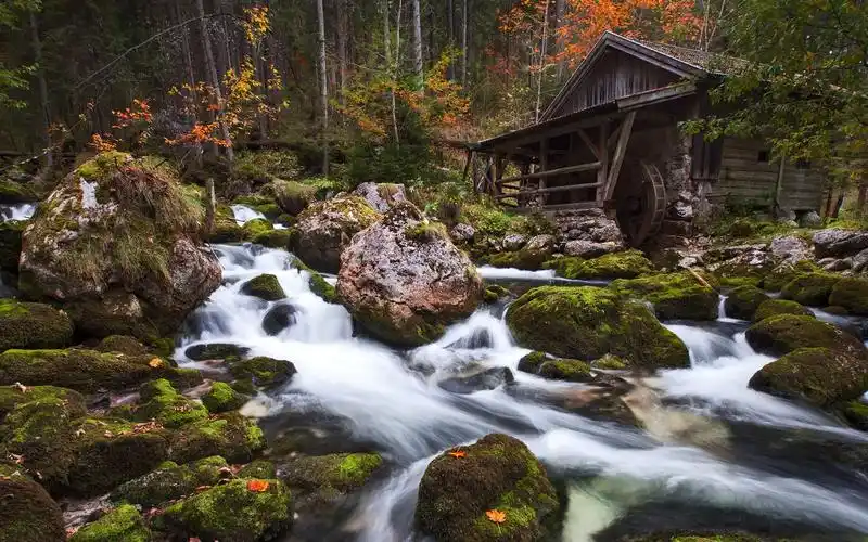 原始森林自然风光高清照片桌面壁纸