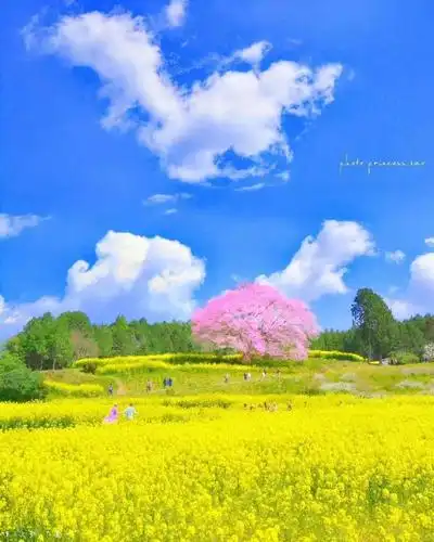 舒心健康的美篇难忘的景色!