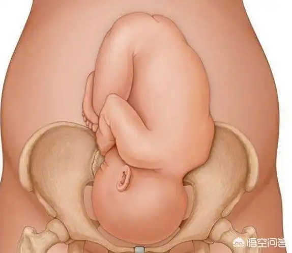 怀孕快生了有什么征兆呢?-生活百科