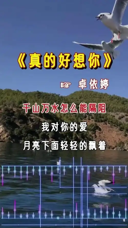 真的好想你#卓依婷经典怀旧歌曲 #怀旧经典老歌