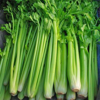 新鲜现挖芹菜3斤新鲜时令蔬菜带叶本地西芹菜青菜批发5斤新鲜芹菜3斤