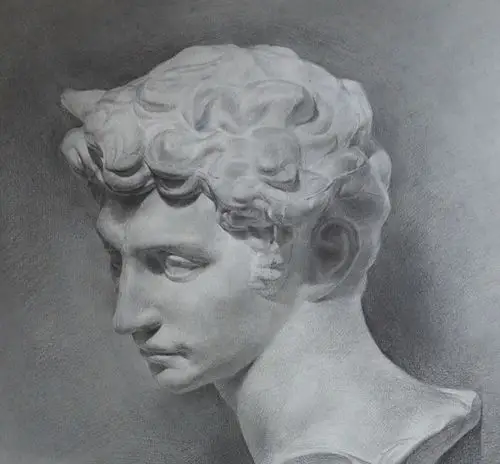 石膏像素描《小卫》