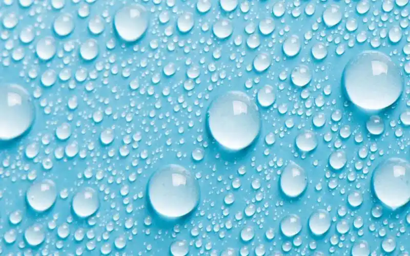 露珠水滴唯美高清桌面壁纸