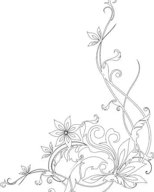 手抄报边框简笔画藤蔓花藤6