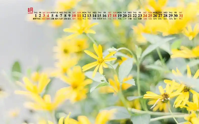 2019年8月小清新简约桌面日历壁纸