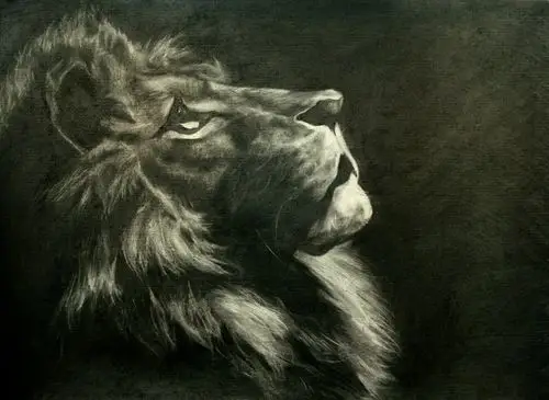 《希望》狮子手绘