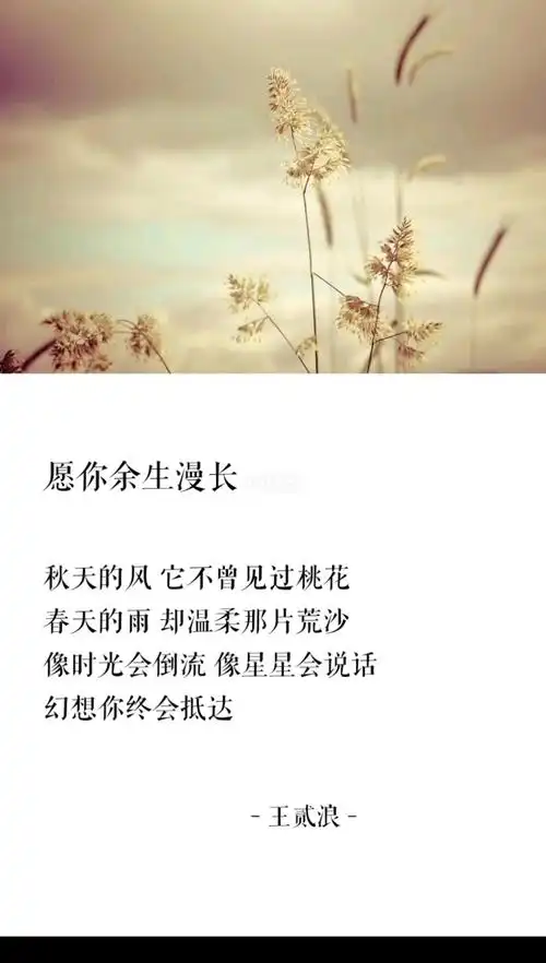 致往后余生的唯美句子余生幸福的句子,值得收藏