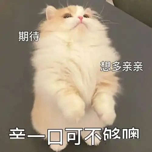 污污,瑟瑟撩人,色色表情包