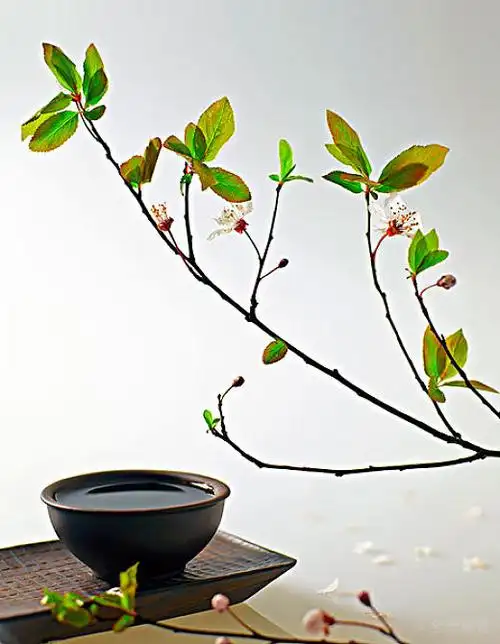 茶道图片_茶道高清图片_全景视觉