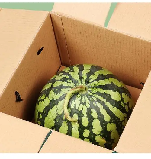 西瓜包装盒空盒两个装西瓜包装箱麒麟瓜通用手提礼品盒五加厚快递纸箱