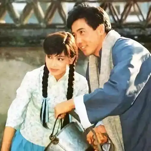 刘雪华与秦汉这对cp的固定人设使两人1987年主演的《庭院深深》收视屡