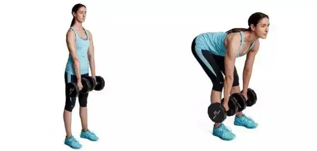 5.哑铃直腿硬拉