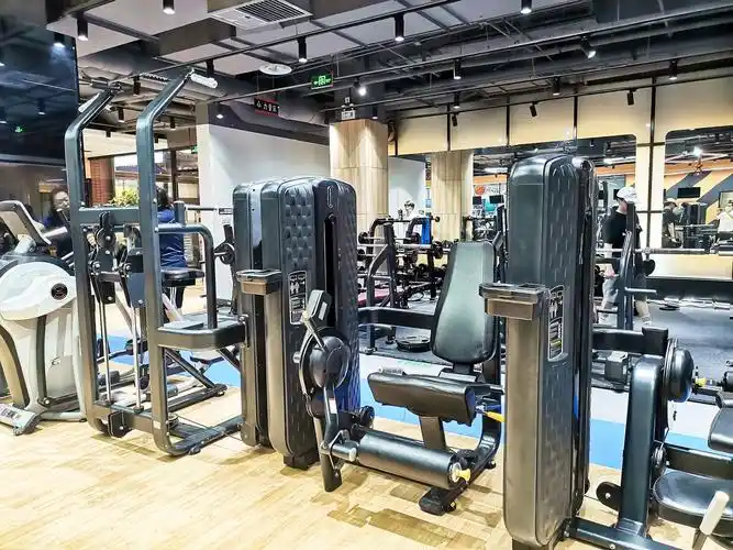 健身房内的力量区域练习臂力腿部肌肉的设施