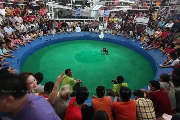 原创深度解读泰国赌场合法化风波再起遭到参众两院反对和质疑