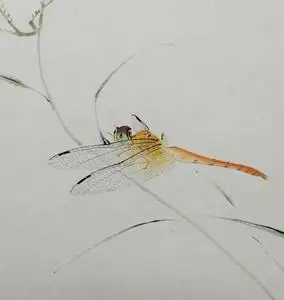 工笔草虫小品蜻蜓,纯手绘桌面小摆件,尺寸10寸相片大小,25