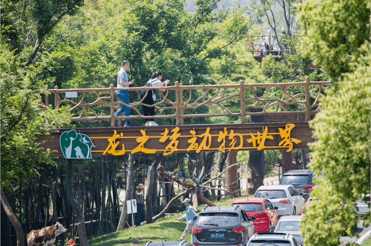 龙之梦动物世界年卡办理方式在哪里买年卡价格
