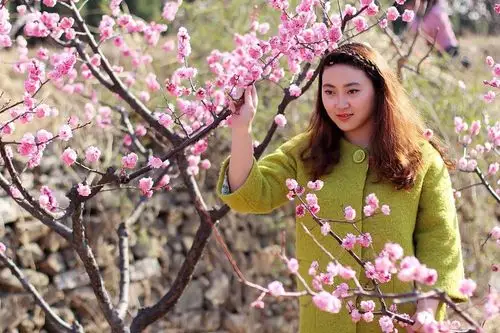 梅花映面人更美