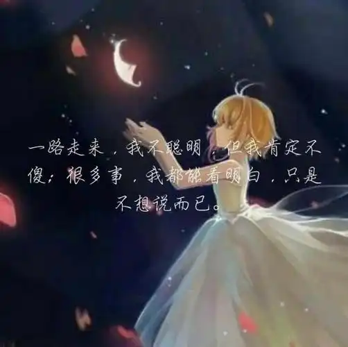 很多事,我都能看明白,只是不想说而已.