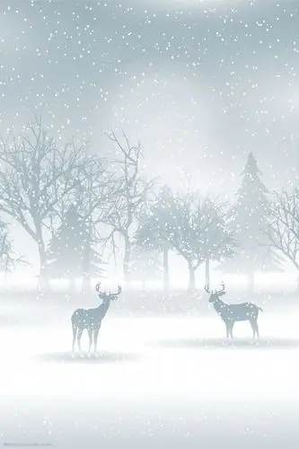 唯美 简约 蓝色 雪地 冬天 冬至背景 下雪 冬至节气