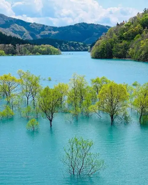 让你平常生活变得不平常,生活摄影这么拍就对了|镜头|倒影|风景|逆光