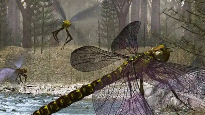 史前蜻蜓(十大灭绝的可怕古生物)