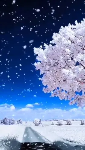 雪花飘仙女来如童话般的视觉