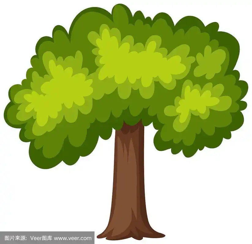 白色背景上的一棵大树