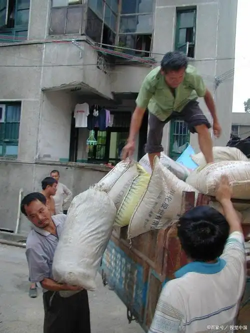 交公粮的一段记忆