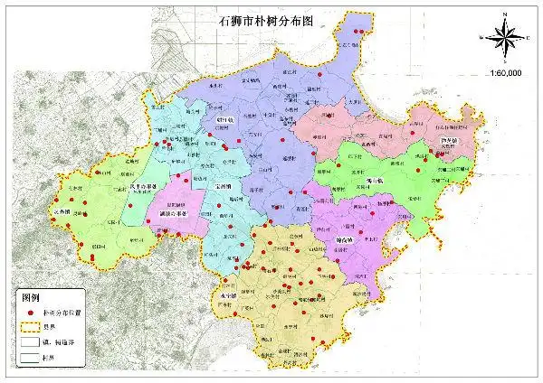 石狮市树朴树分布图永宁镇辖区分布最多