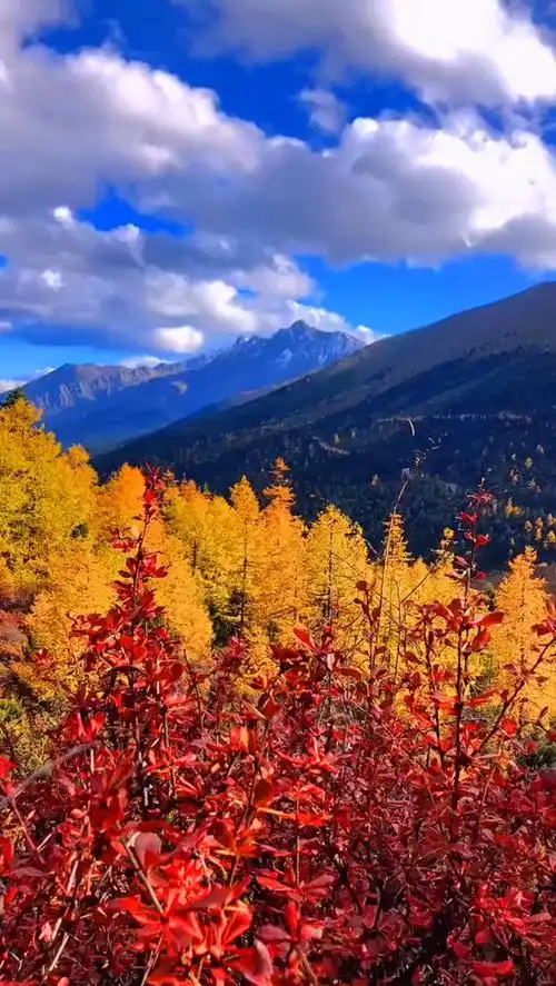 诗与远方无处不在#手机摄影 #唯美意境 #最美的风景在路上