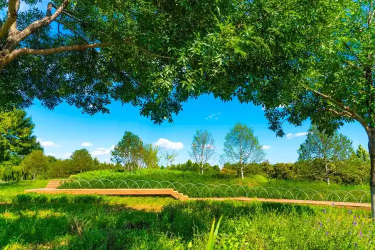 微信相册背景图库(六)
