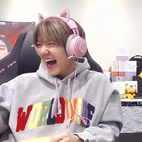 可爱边伯贤啵啵虎