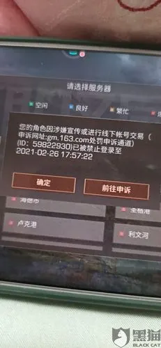 网易游戏没有证据胡乱封号.