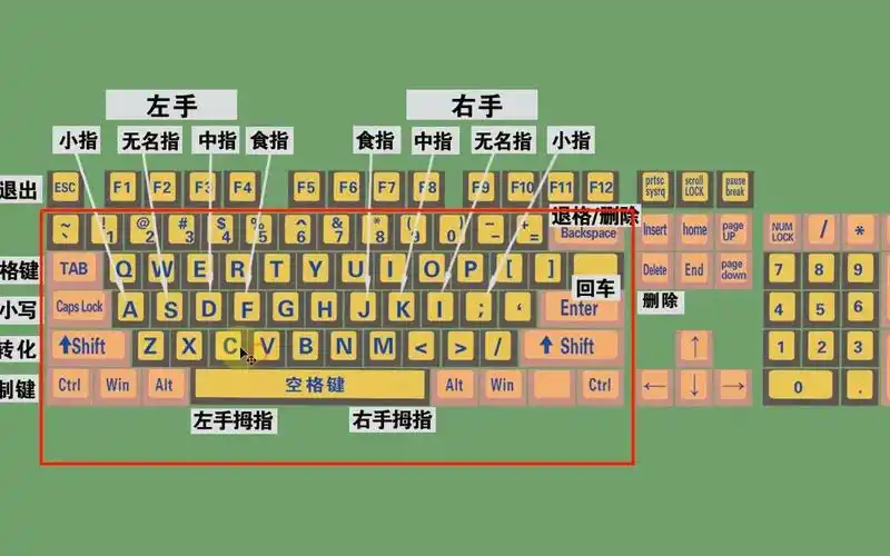 零基础电脑知识,掌握键盘标准指法,打字速度和准确率都可以提高