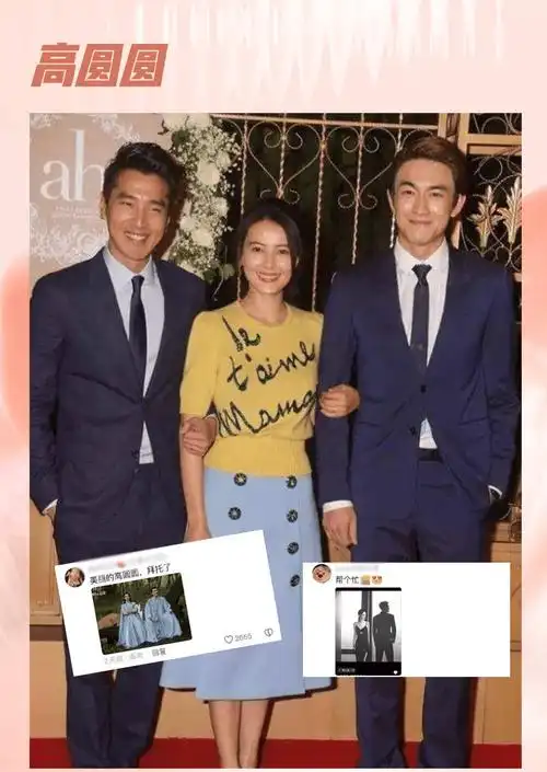 全民撮合赵丽颖林更新赵又廷高圆圆被逼当红娘